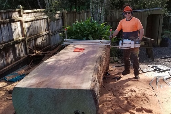 Aserradero en Ciudad de la Costa