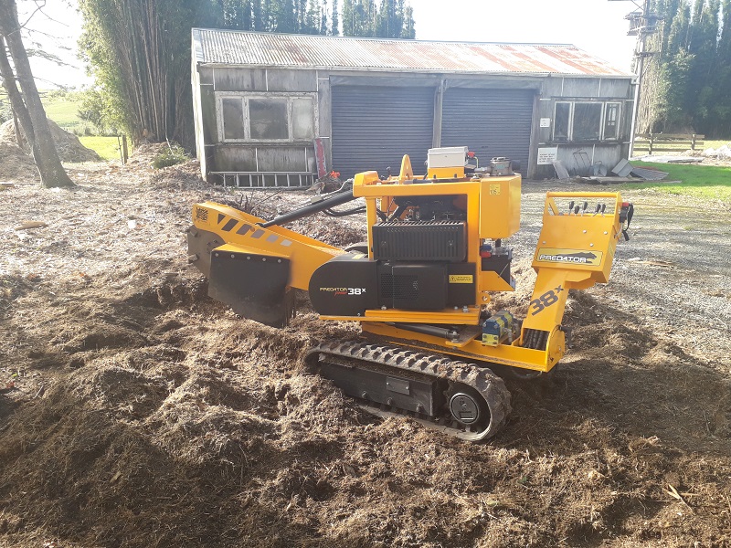 sacado de troncos Solymar