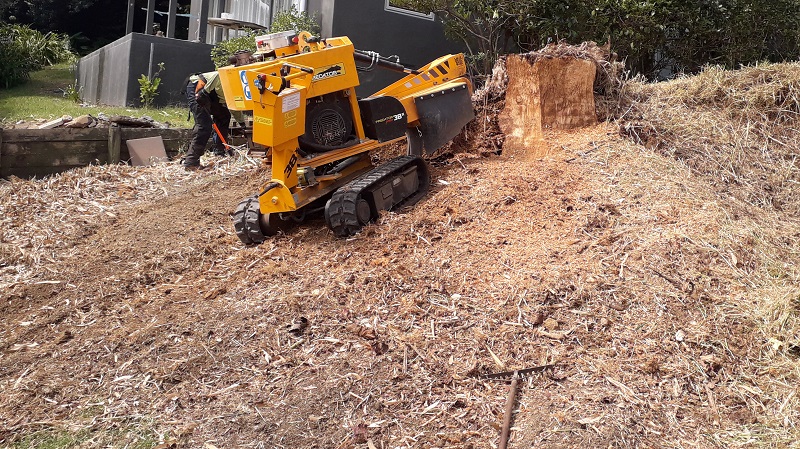 sacado Tocones Shangrila