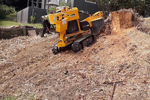 extraccion de troncos